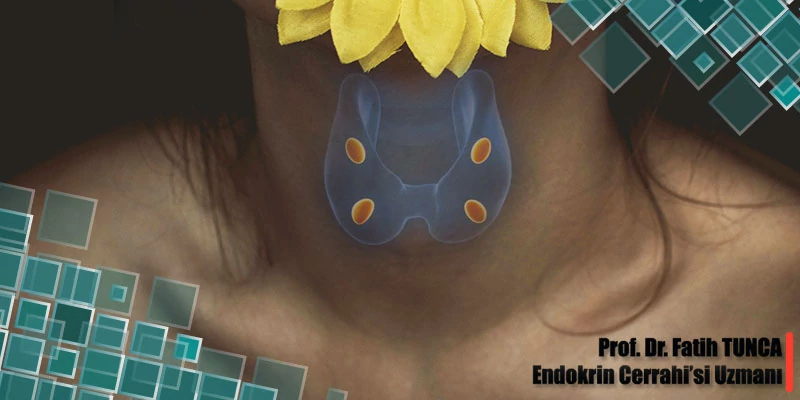 Paratiroid Hastalıkları