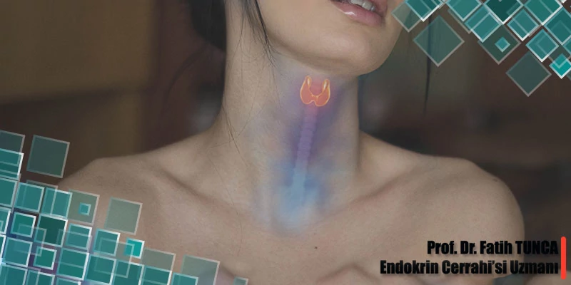 Tiroid Bezi Hastalıkları Nelerdir
