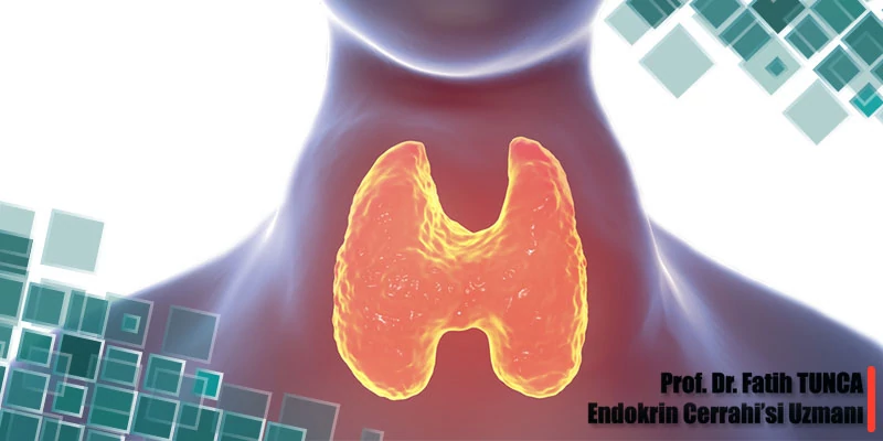 Tiroid Bezinin Fonksiyonel Hastalıkları