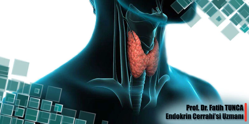 Tiroid Kanseri Nedir